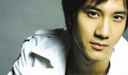 天涯早期爆料王力宏视频,天涯早期爆料视频背后的真相与争议