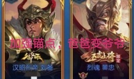 王者内部爆料关菲菲视频,揭秘关菲菲幕后花絮视频