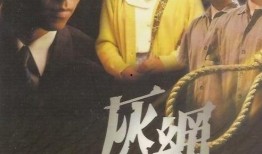 灰网-在线观看,揭秘在线观看背后的秘密世界